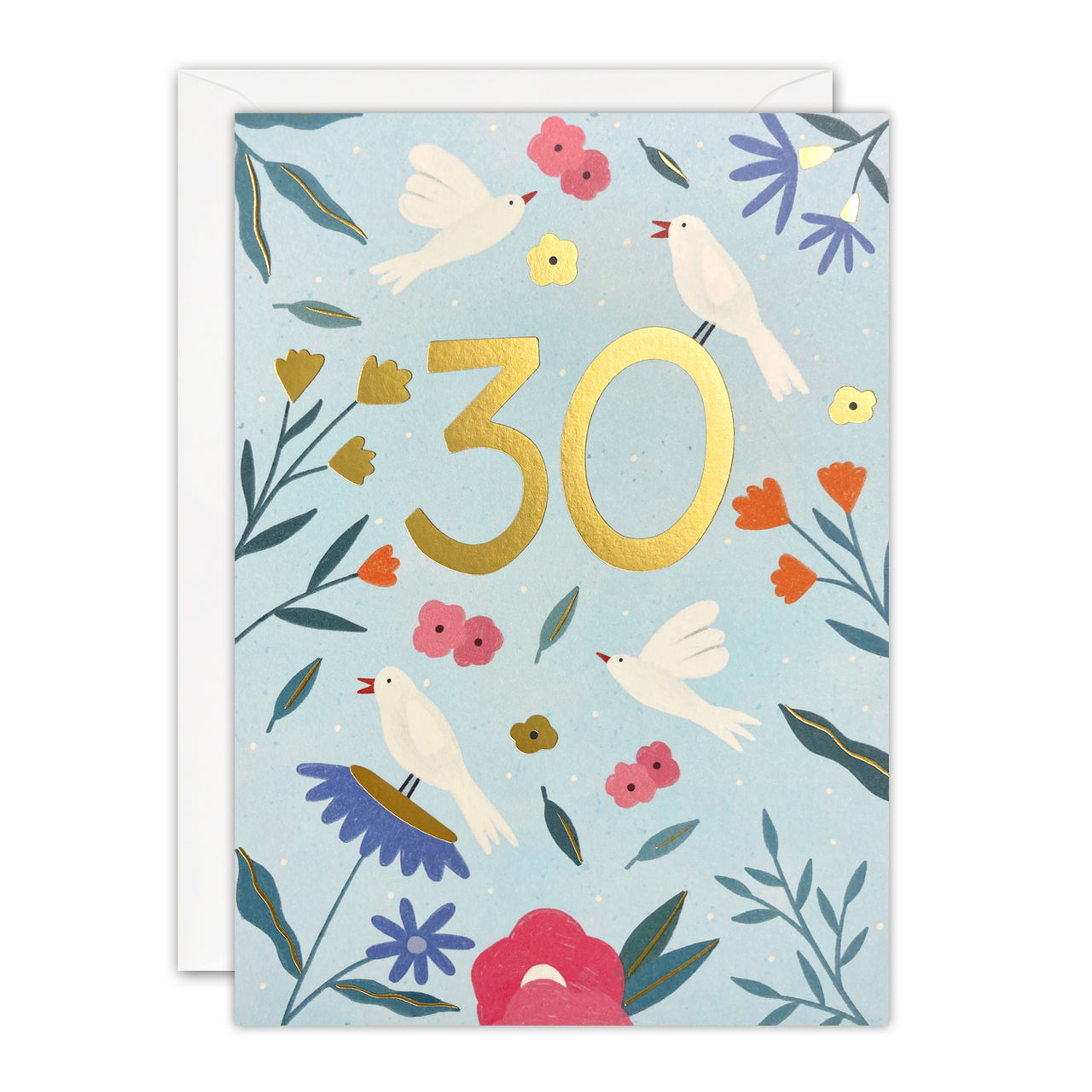 Age 30 Birds Birthday Card by James Ellis