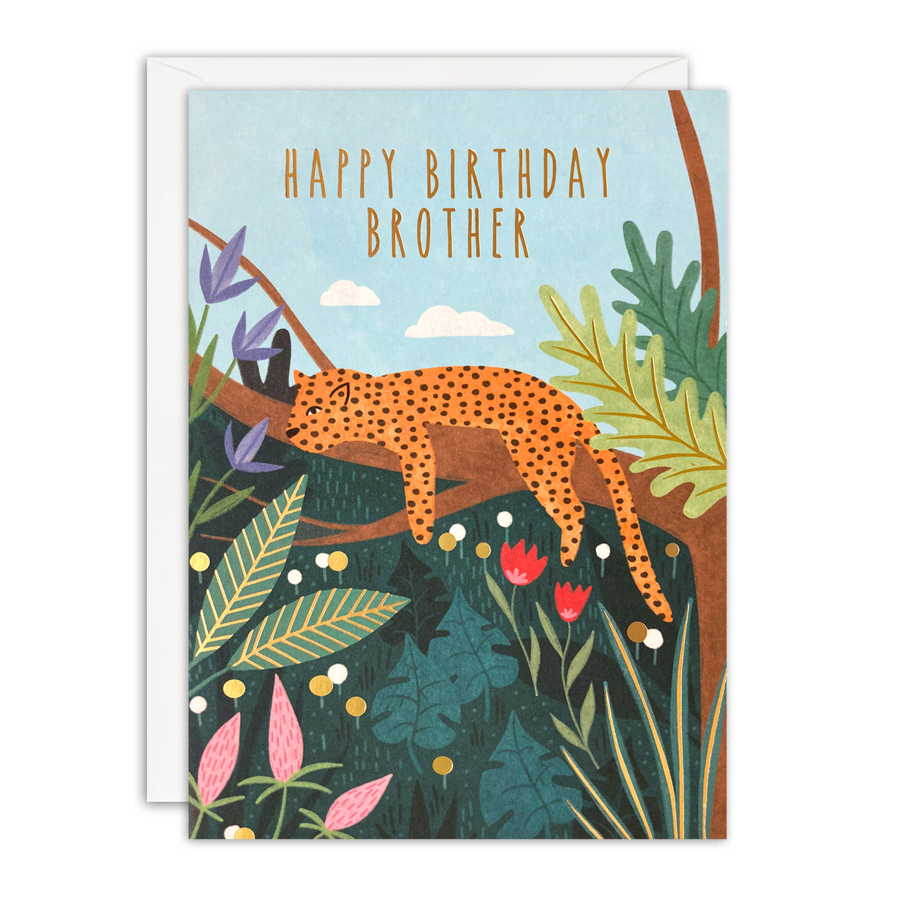 Brother Leopard Birthday Card by James Ellis