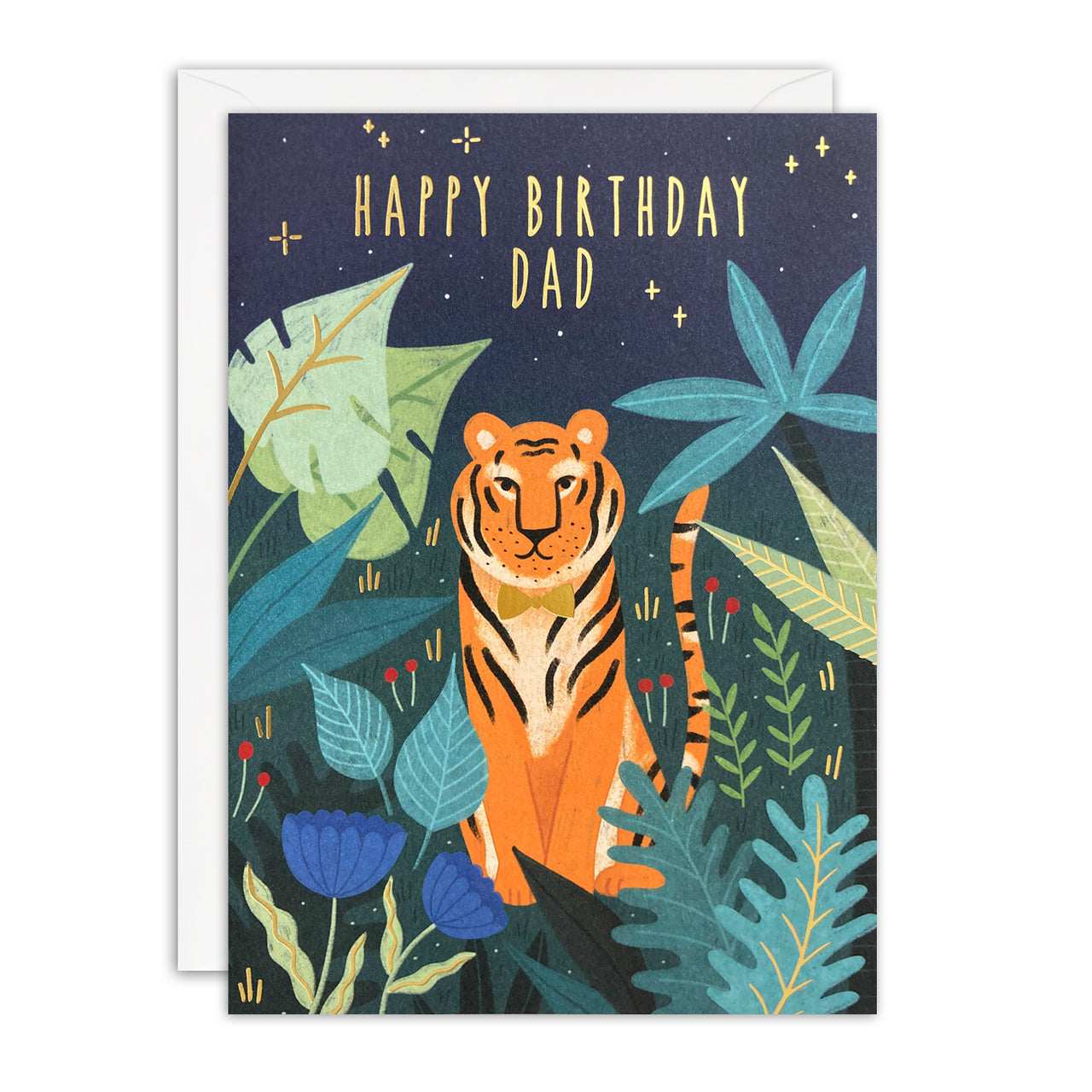 Dad Tiger Birthday Card by James Ellis