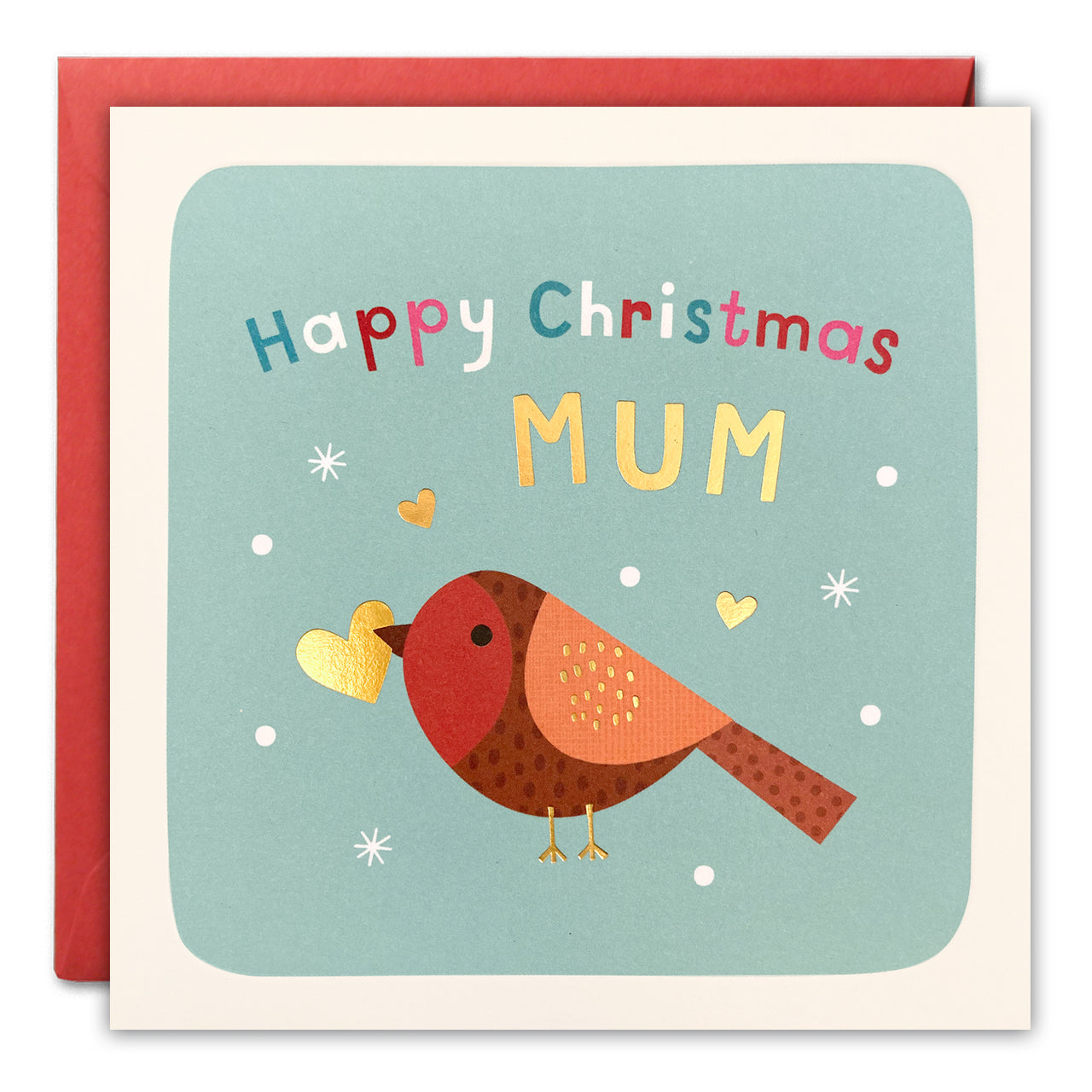 Mum Robin Christmas Card by James Ellis