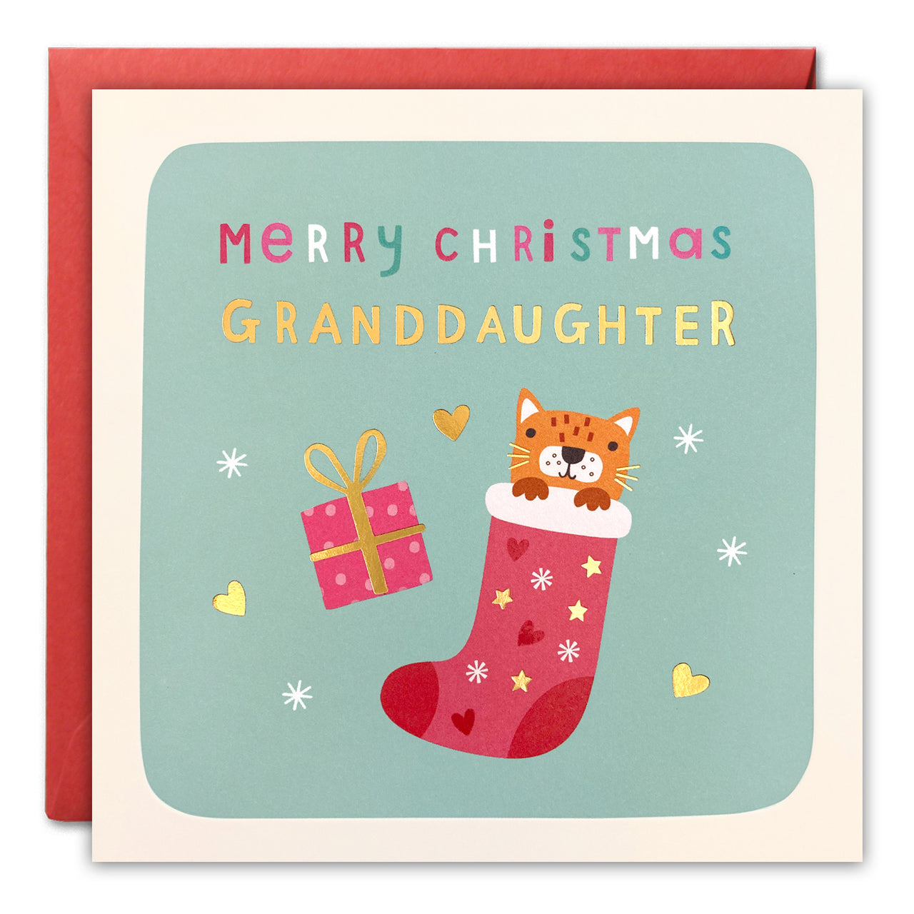 Granddaughter Cat Christmas Card by James Ellis